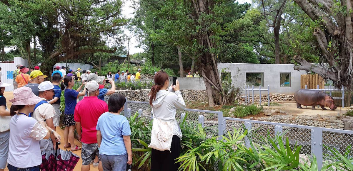 新竹動物園再生-Hsinchu Zoo reborn