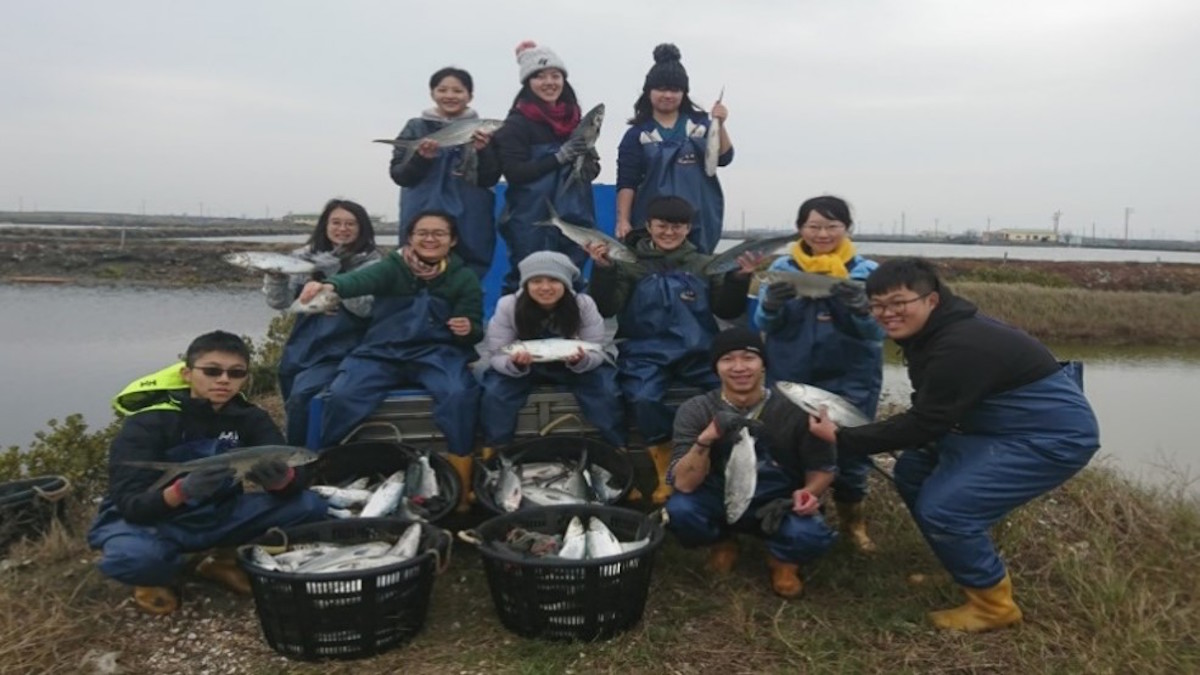 青村白皮書-Rural Up